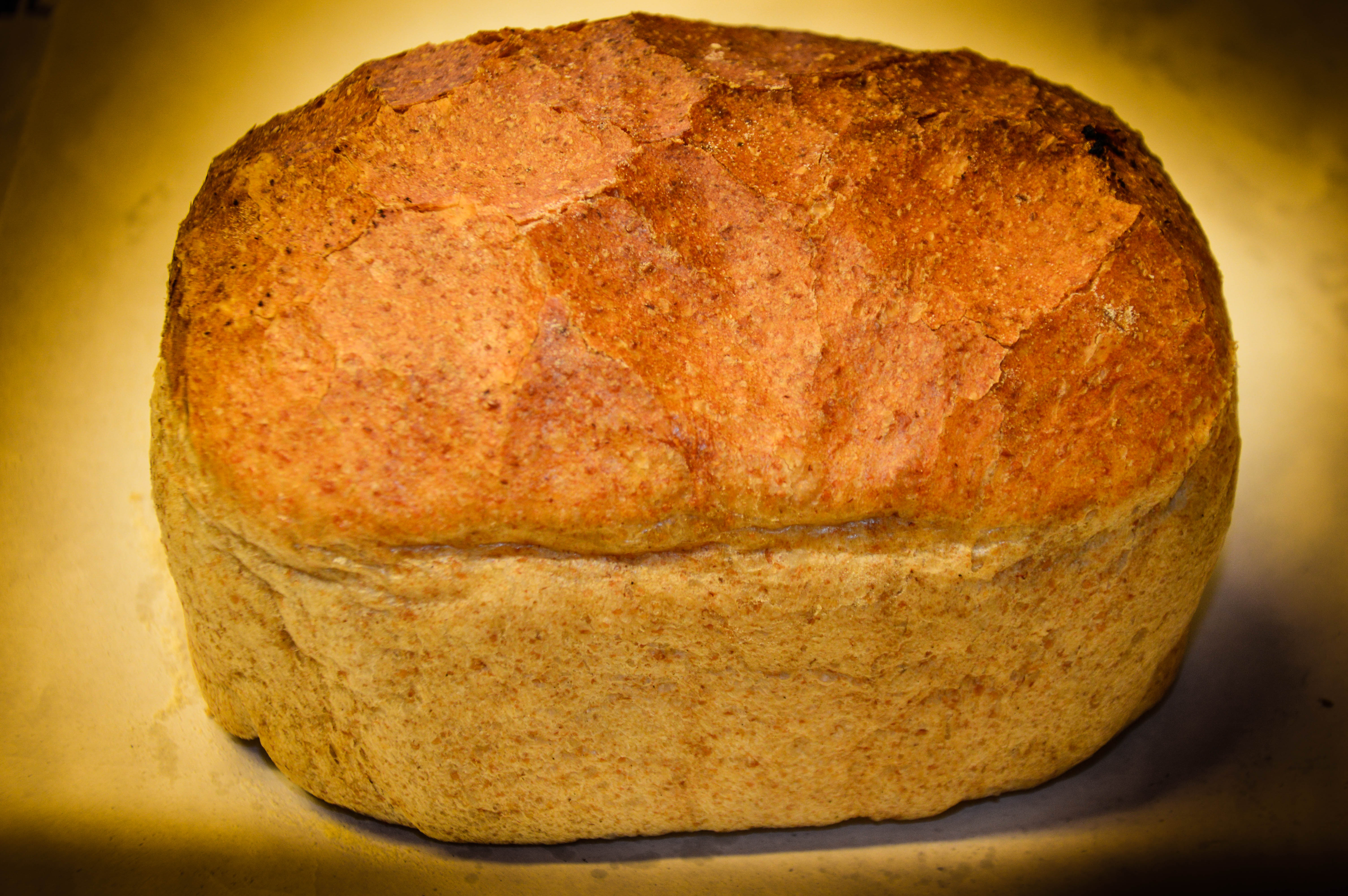 Light Wholemeal - Small